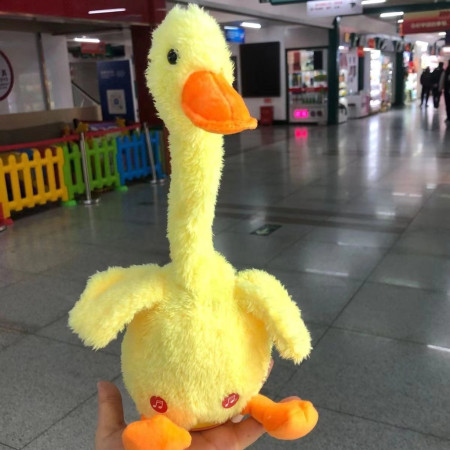 Dancing Talking Duck Toy